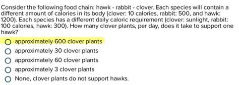 Solved Consider The Following Food Chain Hawk Rabbit Chegg