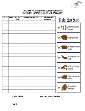 Fillable Online Bowel Assessment Chart Fax Email Print Pdffiller