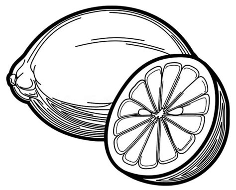 Desenhos De Lim O Para Colorir E Imprimir Aprender A Desenhar