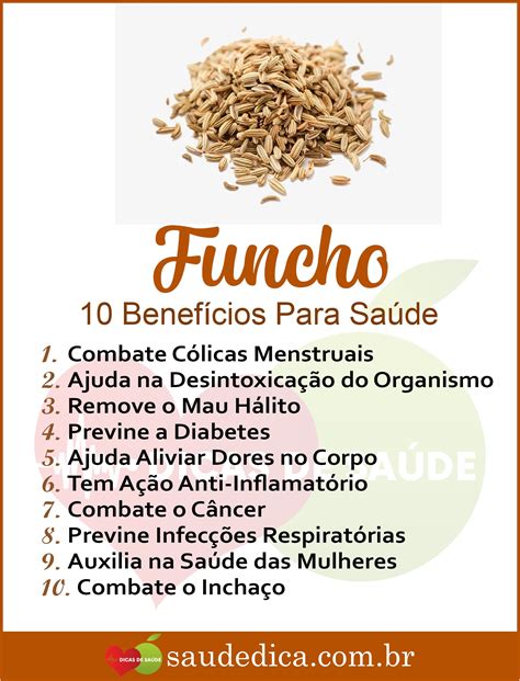 Os Benef Cios Do Funcho Para Sa De Sa De Ervas Medicinais Ch S