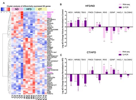 Quantitative Real Time Pcr Validation Of Rna Seq Analysis Of Degs