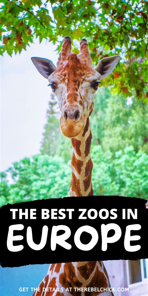 Best Zoos in Europe - The Rebel Chick