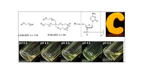 Bulk Ph Responsive Dna Quadruplex Hydrogels Prepared By Liquid Phase