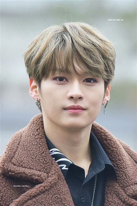 Lee Know Stray Kids Leeknow 이민호 리노 Straykids 스트레이키즈 Lee Know