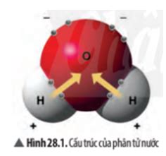 Quan sát Hình 28 1 em hãy mô tả cấu trúc của phân tử nước