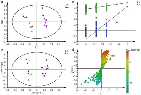 PCA Scores Plot A PLS DA Permutation Test B OPLS DA Scores Plot