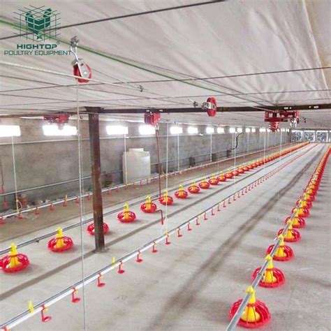 Automatic Poultry Raising System For Chicken Broiler Farm Ground Floor Feeding Equipment