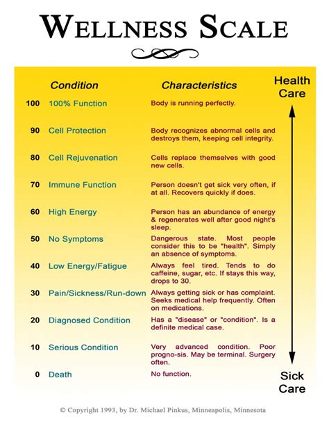 What Is A Wellness Scale How Can It Help You Dr Dusty