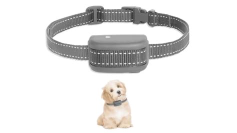 What is the Best Citronella Bark Collar For Small Dogs