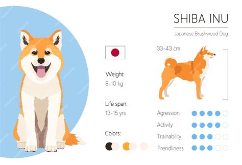 Shiba Inu Characteristics: An Exploration of the Breed's Distinctive ...