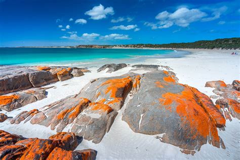 Top 9 Captivating South Australia Beaches To Check Out