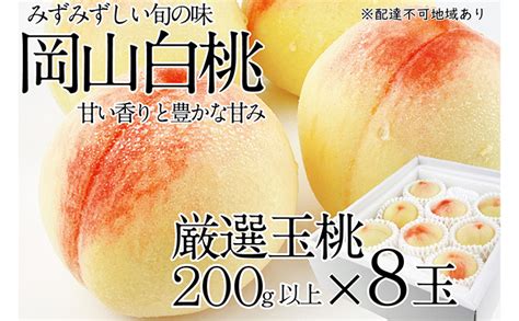 桃 2024年 先行予約 岡山の白桃 200g以上×8玉 白桃 旬 みずみずしい 晴れの国 おかやま 岡山県産 フルーツ王国 果物王国｜ふるラボ