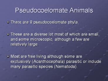 PPT – Pseudocoelomate Animals PowerPoint presentation | free to view ...