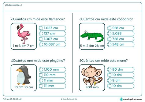 Fichas De Magnitudes Y Sus Medidas Para 3º De Primaria Mundo Primaria Mundo Primaria