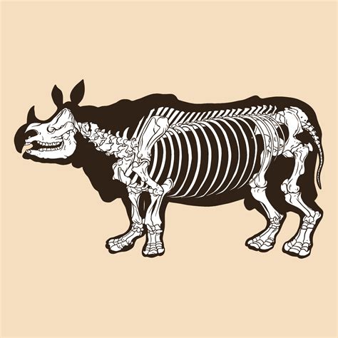 Skeleton rhino vector illustration 8888340 Vector Art at Vecteezy