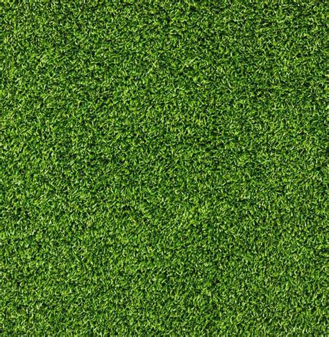 Xoo Plate Lush Green Grass Texture Background Eco Green Grass