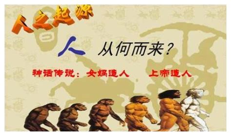 哲学终极问题：我是谁？我从哪来？我要到哪去？我是谁哲学终极新浪新闻