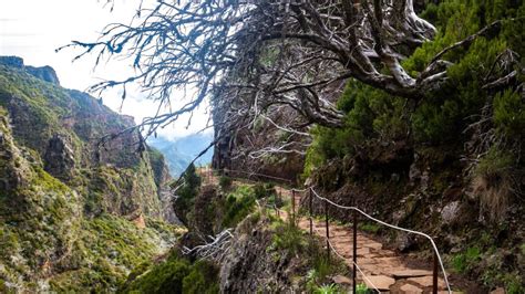 Madeira Stairway To Heaven Pico Areeiro To Pico Ruivo Hike