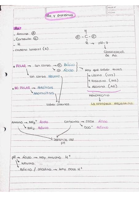 Aminoacidos y proteínas Study with Titu uDocz