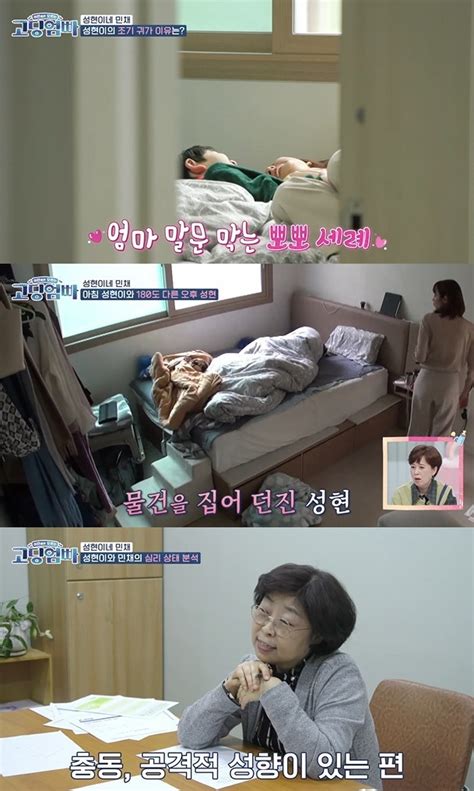 ‘고딩엄빠 10살 아들 심리상담 공개 아이는 무슨 죄 Tv와치 손에 잡히는 뉴스 눈에 보이는 뉴스 뉴스엔