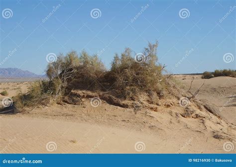 Dunas De Arena En Desierto Foto De Archivo Imagen De Extremo 98216930