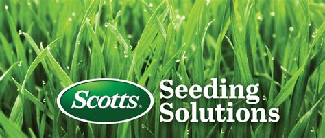 Scotts Seeding2 Arett Outlook