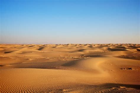 Sahel Regional Leaders Give New Push For 10 GW Desert To Power