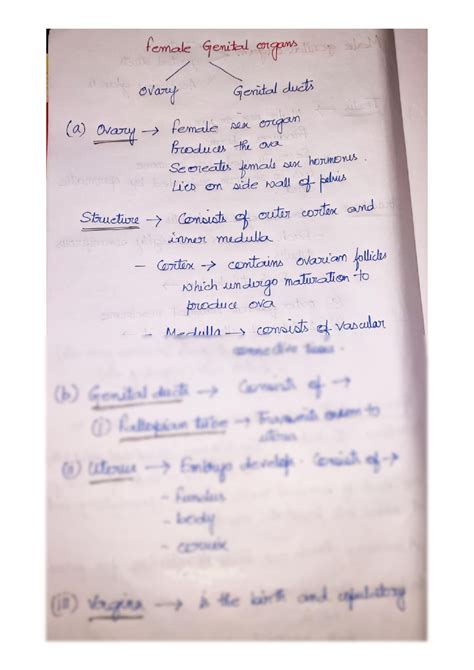 Solution Female Reproductive System Embryology Studypool