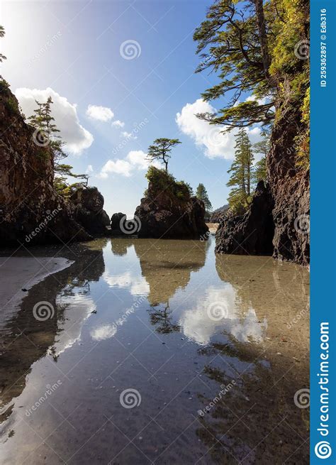 Sandy Beach On Pacific Ocean Coast View Sunny Blue Sky Stock Image