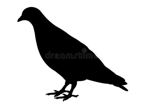 Pigeon Silhouette Stock Vector Illustration Of File