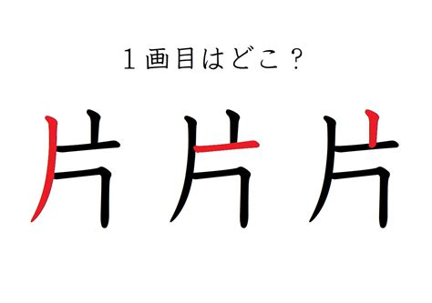 「片」の1画目はどこ？ 意外に間違えてる！｜otona Salone