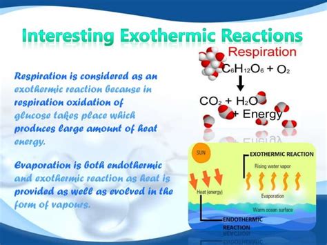 Exothermic reactions | PPT