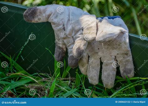 Groene Vuilnisbak Gevuld Met Tuinafval Vuile Handschoenen Opruimen Van