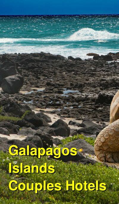 The 6 Best Romantic Hotels For Couples In Galapagos Islands Honeymoons