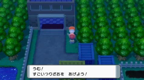 【ポケモンダイパリメイク】ハートのウロコの入手方法と使い方【bdsp】 ゲームウィズ