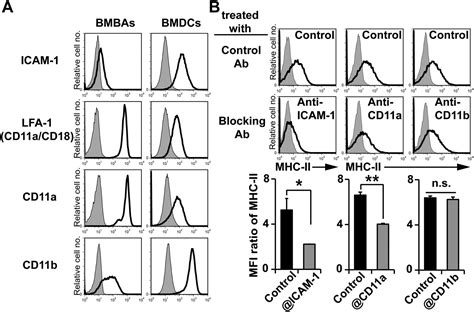 Trogocytosis Of Peptidemhc Class Ii Complexes From Dendritic Cells