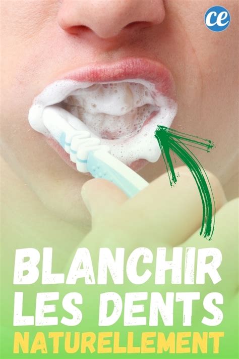 Comment Blanchir Ses Dents Naturellement En Seulement 1 Jour