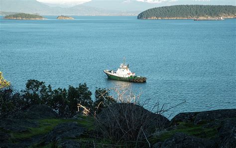 Tugboat Spotlight Photograph By Tom Cochran Fine Art America