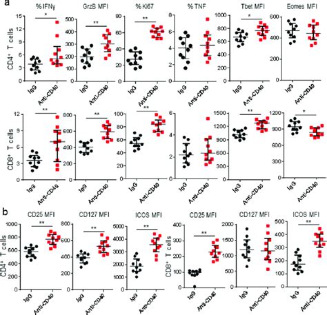 Anti Cd40 Mab Reversed Exhaustion Of Intratumor T Cells K7m2