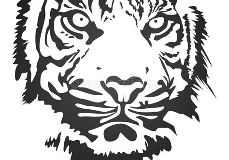 The Head Of The White Tiger Sketch Vector Graphics Stock Vector