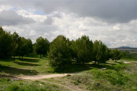 Restauración de los caminos forestales en los principales parques de