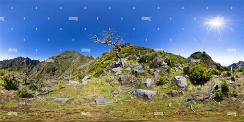 Ponta del gada Banque de photographies et d’images à haute résolution