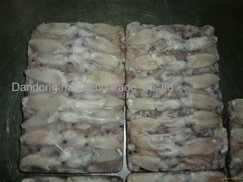 Baby Squid Loligo Japonica China Dandong HaiLufeng Trade Co LTD Price