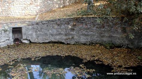 Granada Deifontes Restos Romanos En El Nacimiento De Deifontes