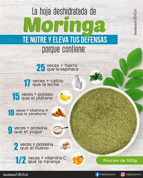 La Hoja De Moringa H Bitos Health Coaching