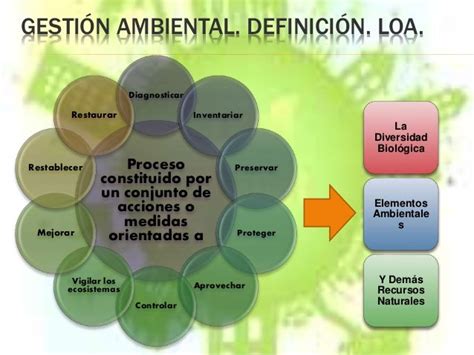 Voz Ambiental Tolentino Gestión Ambiental