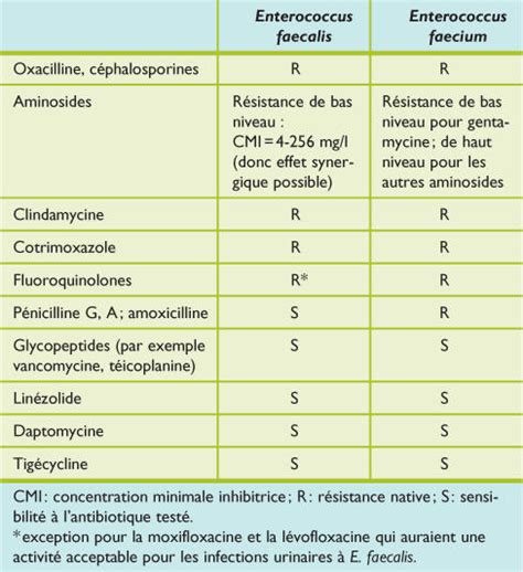 Enterococcus Faecalis