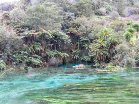 The Water Is Very Blue And Green In This Area With Trees On Either Side