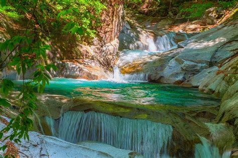 Flowing Water Plant Long Exposure P Water Waterfall Forest