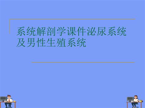 2021系统解剖学课件泌尿系统及男性生殖系统完美版pptword文档在线阅读与下载无忧文档